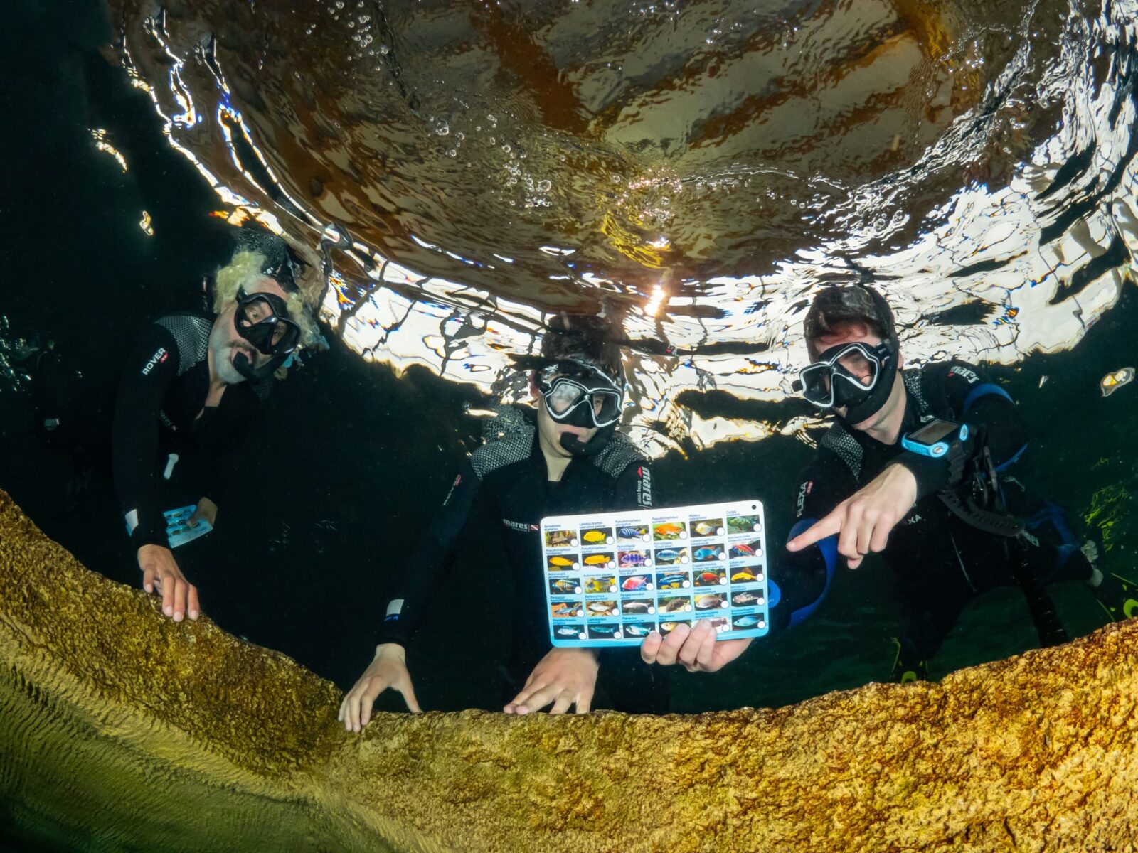 Drie snorkelaars bekijken samen een vissenkaart onder water bij TODI.